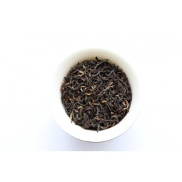 Gingia Assam Estate