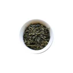Sencha