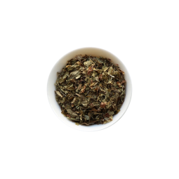 Organic Spearmint