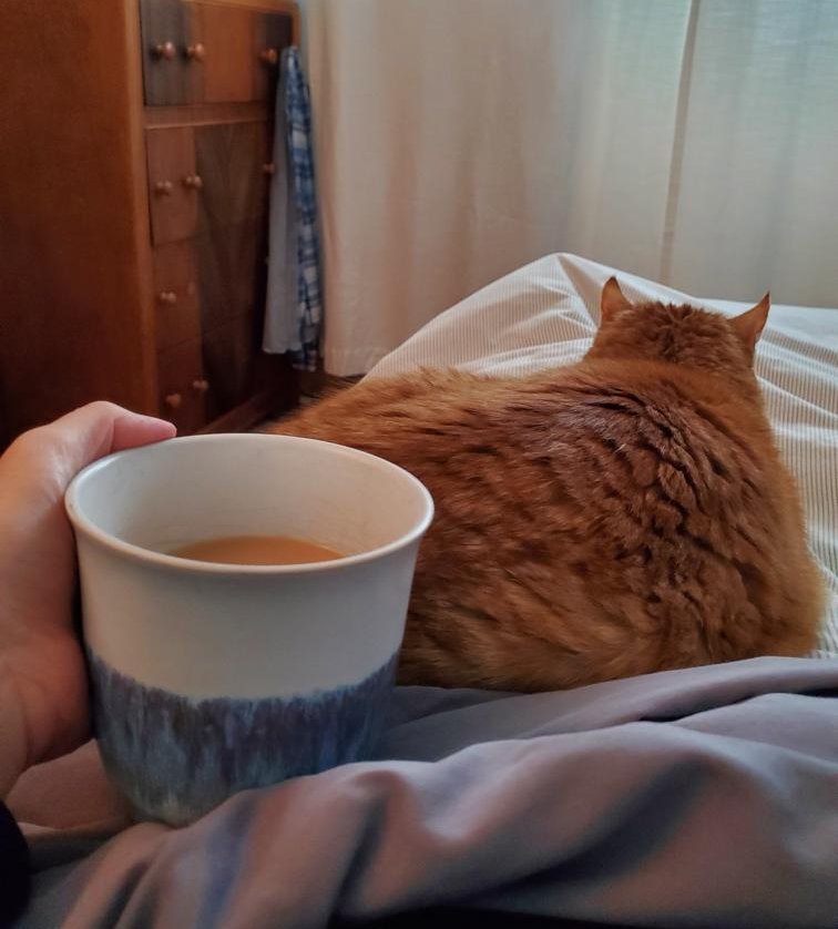 A cup of assam beside Roger, an orange cat