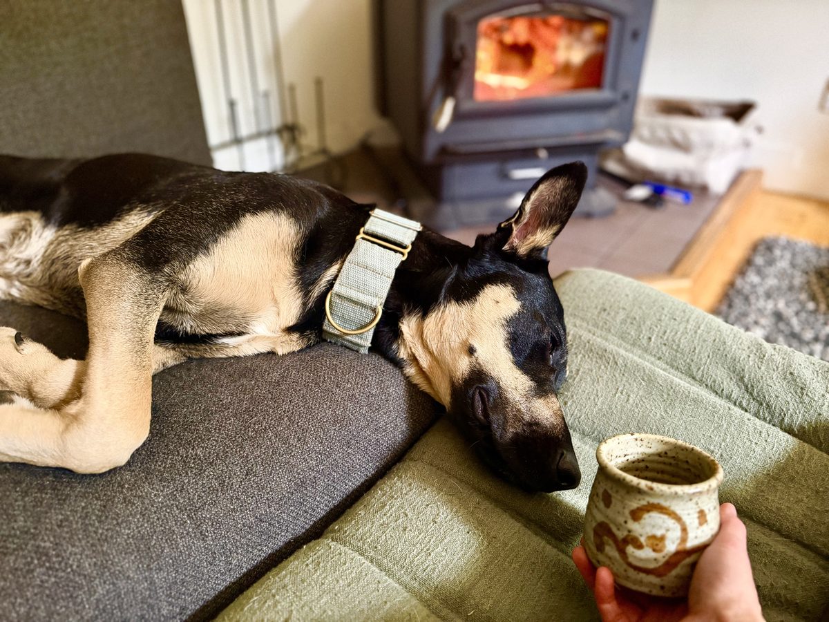 A sleeping dog beside a cup of tea by the wood stove